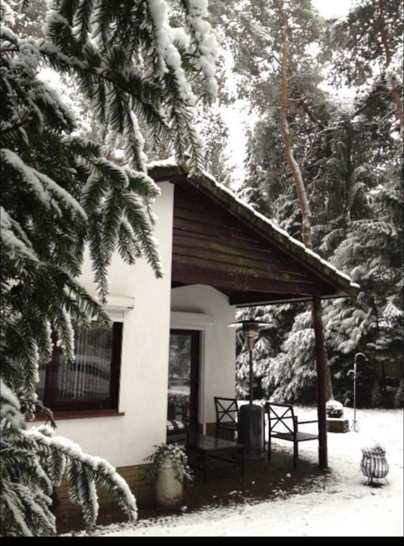 Magical Cottage In The Woods Baarn Eksteriør bilde